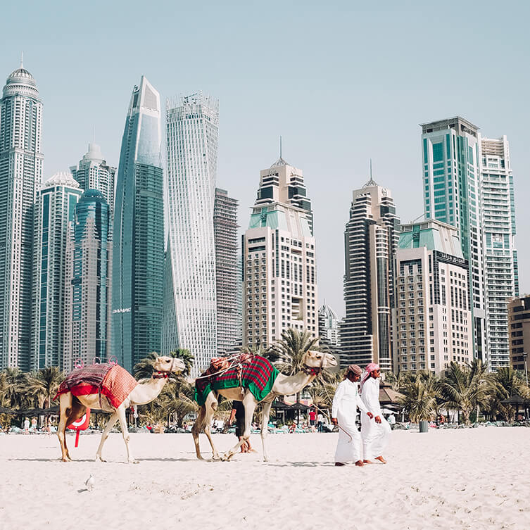 Strippenkaart Dubia - 50 uur
